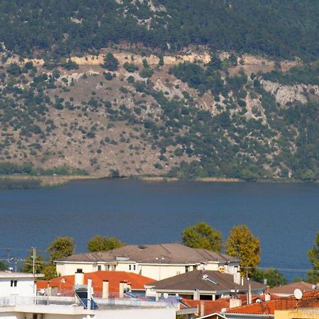 Modern Lake View Apartment Ioannina Buitenkant foto